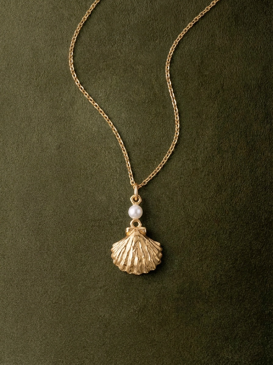 The Seashell Necklace